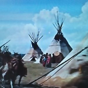 Meet your Posher, Randy